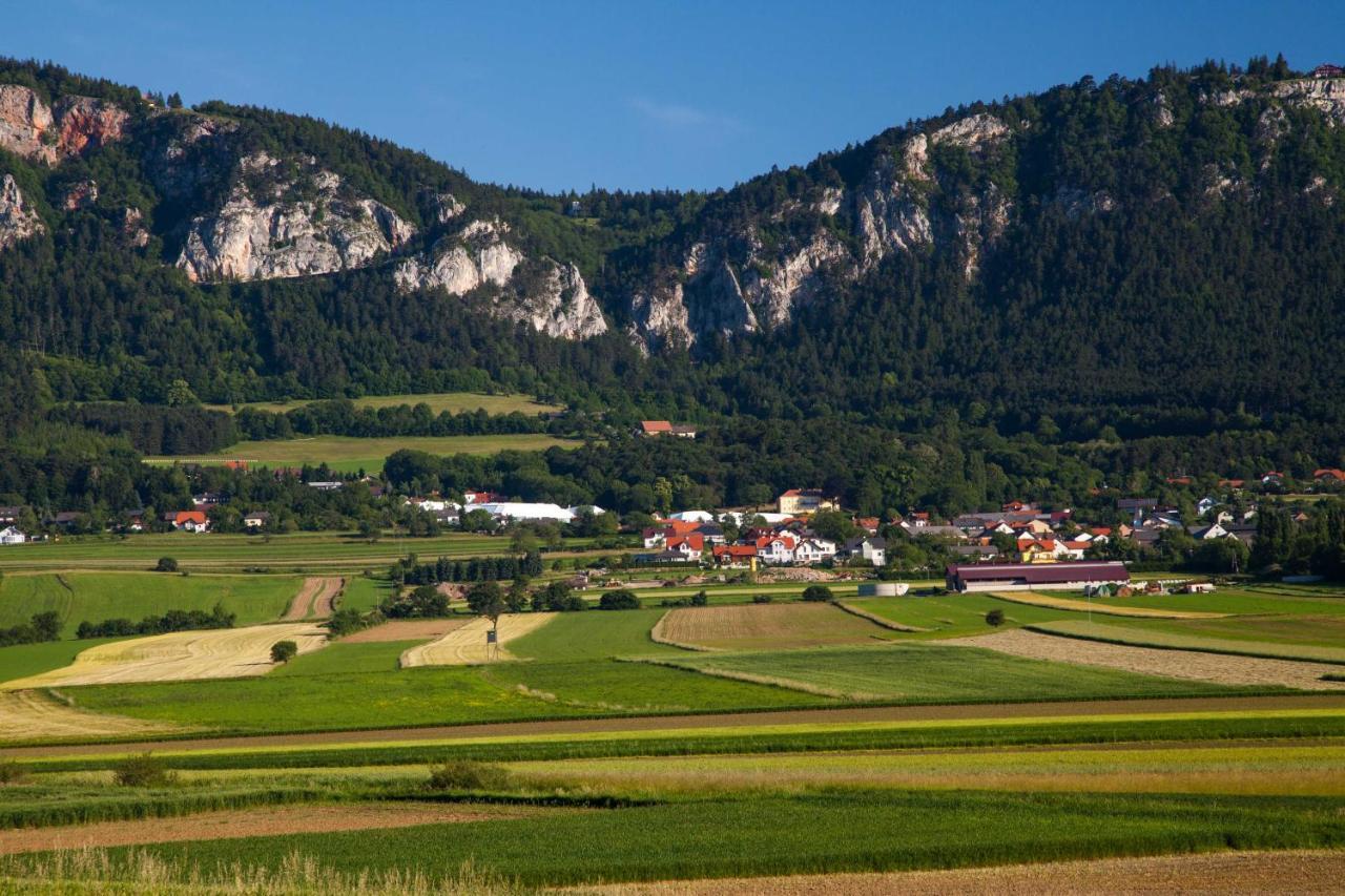 Farmhouse - Hohe Wand Hotel Stollhof Buitenkant foto